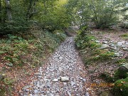 06-SOTTO LE FRONDE SI STA BENISSIMO
